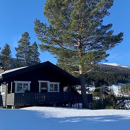 Uvdalhytta - Close To Cross Country And Downhill Skiing Sonstebo Exterior photo