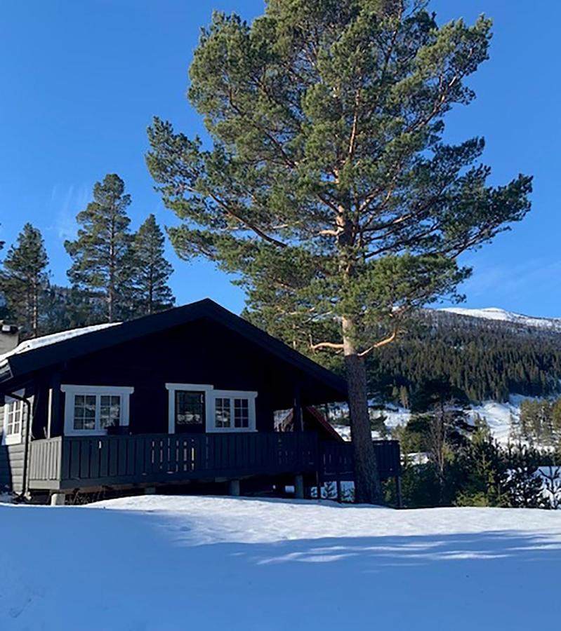 Uvdalhytta - Close To Cross Country And Downhill Skiing Sonstebo Exterior photo
